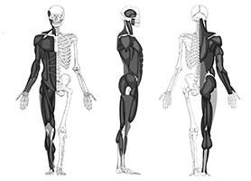 correction posture