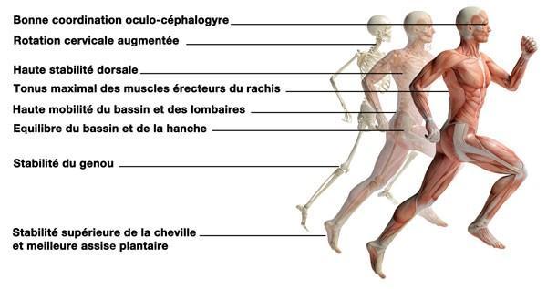 analyse de la posture