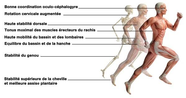 analyse de la posture analyse de la posture